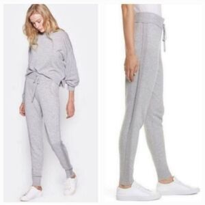 NEW Joie Jetta Metallic Side Stripe Wool Blend Joggers in Gray Size XL